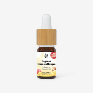 Ingwer ImmunDrops: Die hochkonzentrierte Kraft der Ingwerwurzel