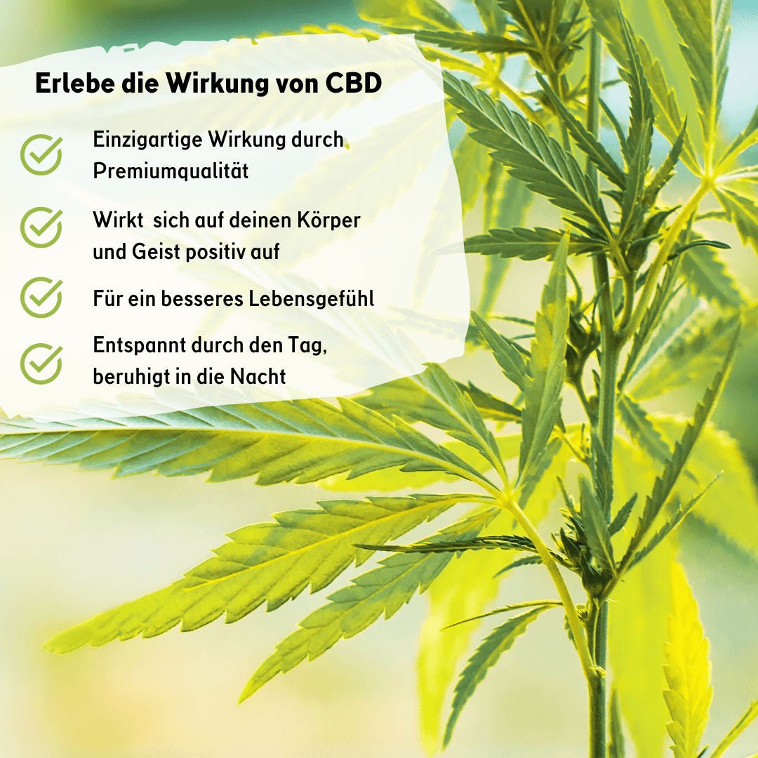 CBD Naturextrakt PREMIUM Öl 20%