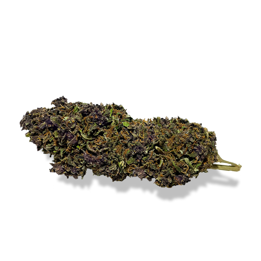 Purple Haze Ökopack