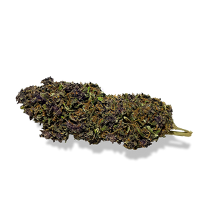 Purple Haze Ökopack