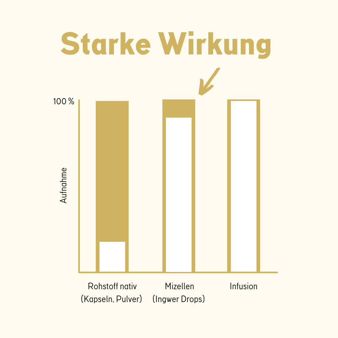 Ingwer ImmunDrops: Die hochkonzentrierte Kraft der Ingwerwurzel