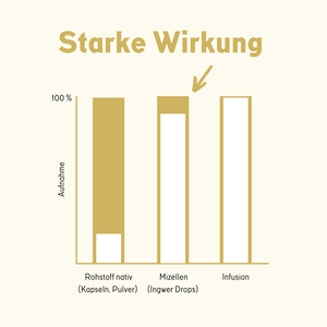 Ingwer ImmunDrops: Die hochkonzentrierte Kraft der Ingwerwurzel