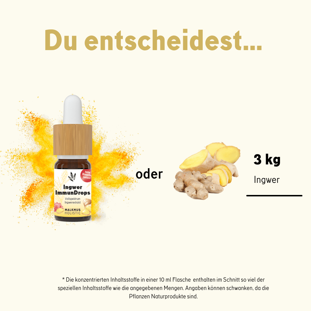 Ingwer ImmunDrops: Die hochkonzentrierte Kraft der Ingwerwurzel