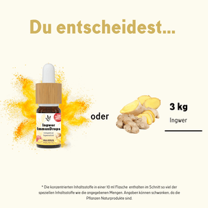 Ingwer ImmunDrops: Die hochkonzentrierte Kraft der Ingwerwurzel