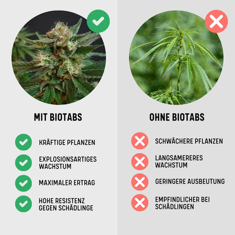 BioTabs Perfect Plant Pack