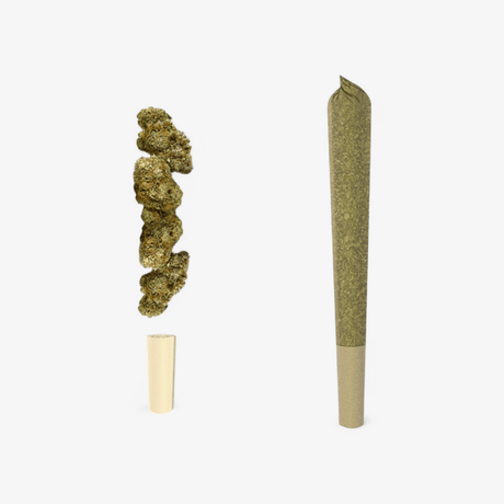 Amnesia 10HC Prerolls Joints 3er Pack - Hanfify