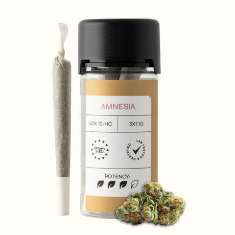 CLASSIC JOINTS (40% 10 - HC) Joints AMNESIA 3 STK. - Hanfify