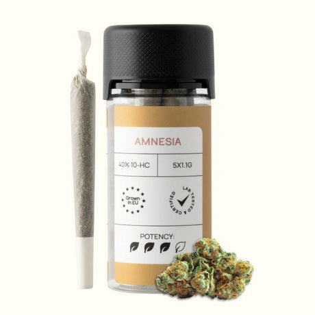 CLASSIC JOINTS (40% 10 - HC) Joints AMNESIA 5 STK. - Hanfify