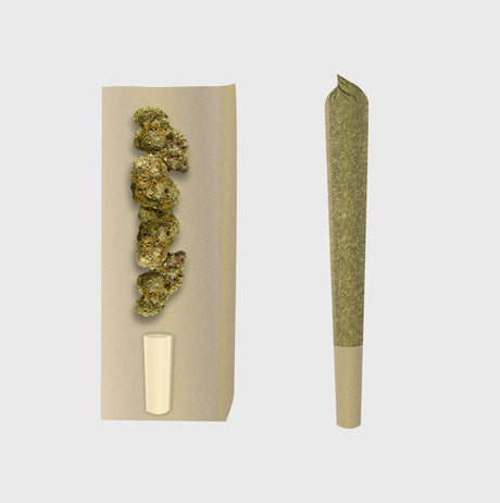 CBD Preroll Maxi Pack - Handgerollte 18g