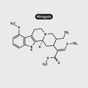 Thai Kratom